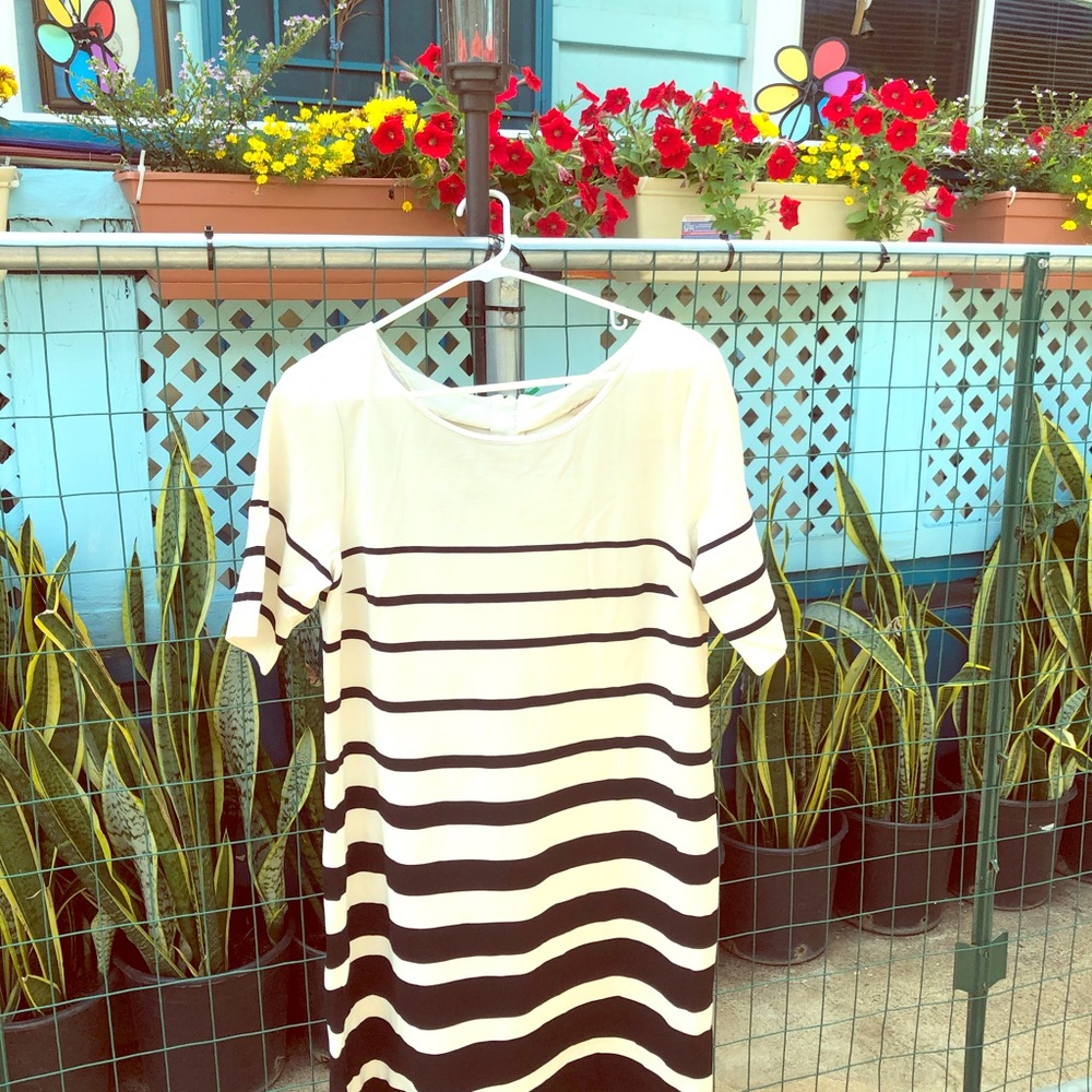 Cream/ black stripe dress